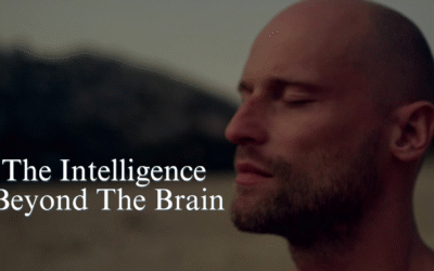 How Your Mind Syncs with the Unified Field to Rewire Your Brain