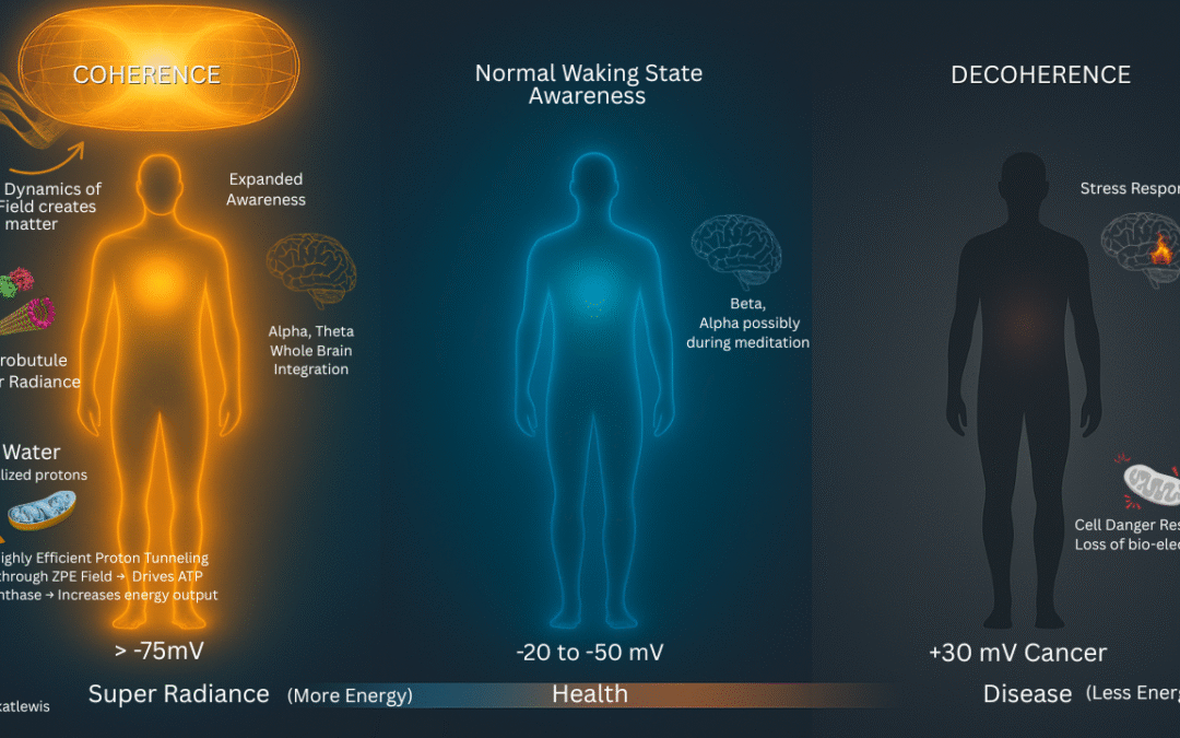 Part 1 of The Voltage of Vitality Series
